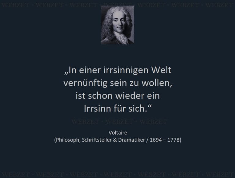 Voltaire – In einer irrsinnigen Welt